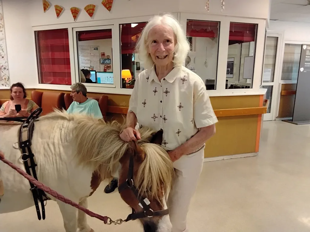 Un poney au milieu du salon !