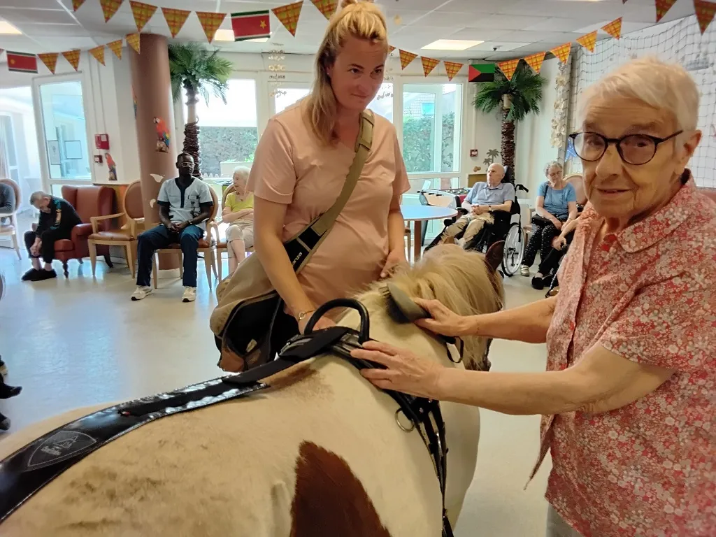 Un poney au milieu du salon !