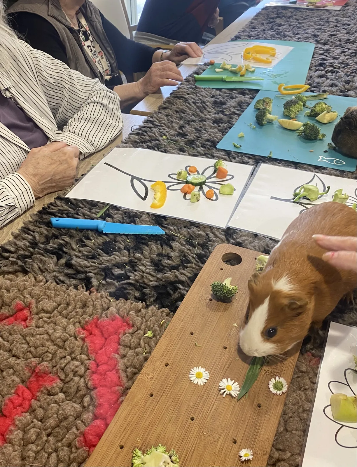 Médiation animale : une rencontre pleine de douceur