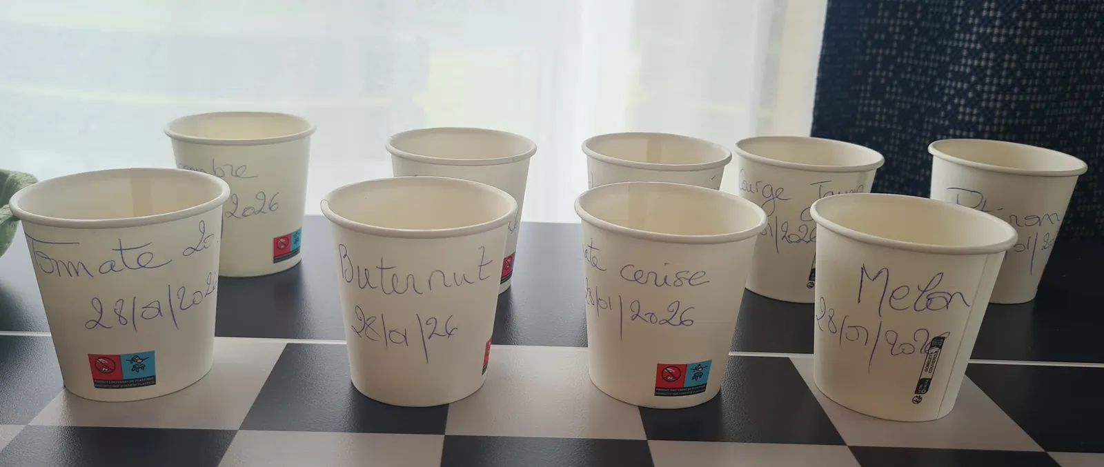 Lancement des semis – Projet potager de l’accueil de jour