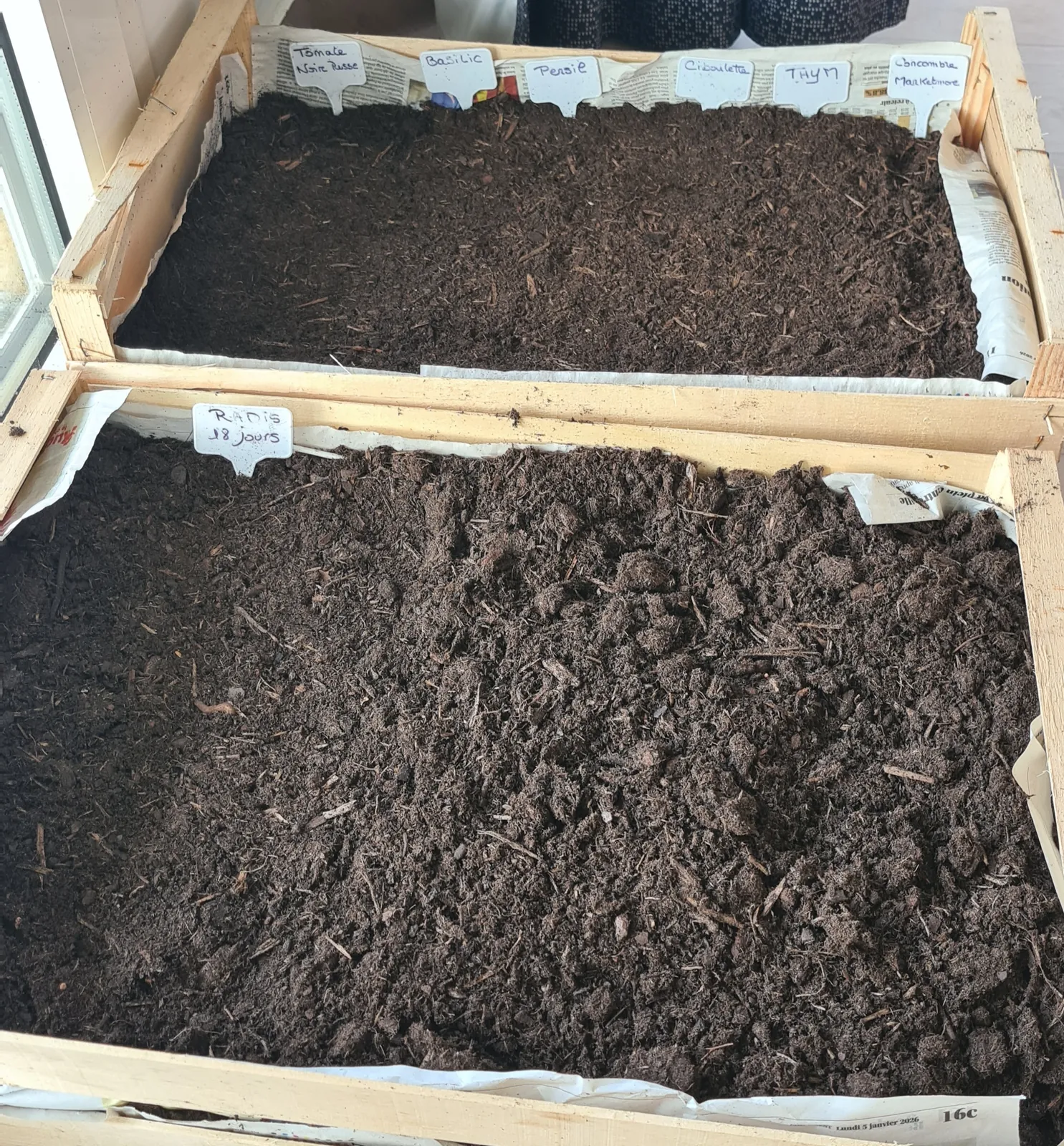 Lancement des semis – Projet potager de l’accueil de jour