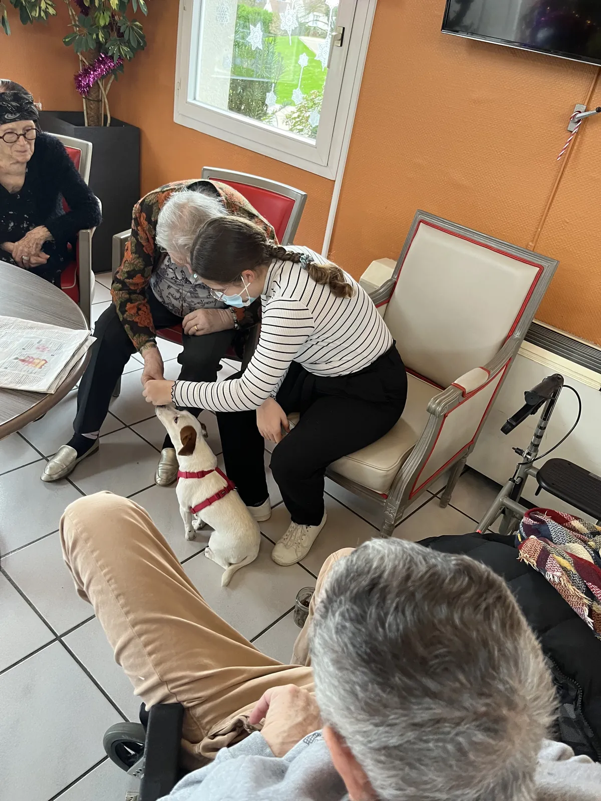Bienvenue à Emma et Rebelle 
