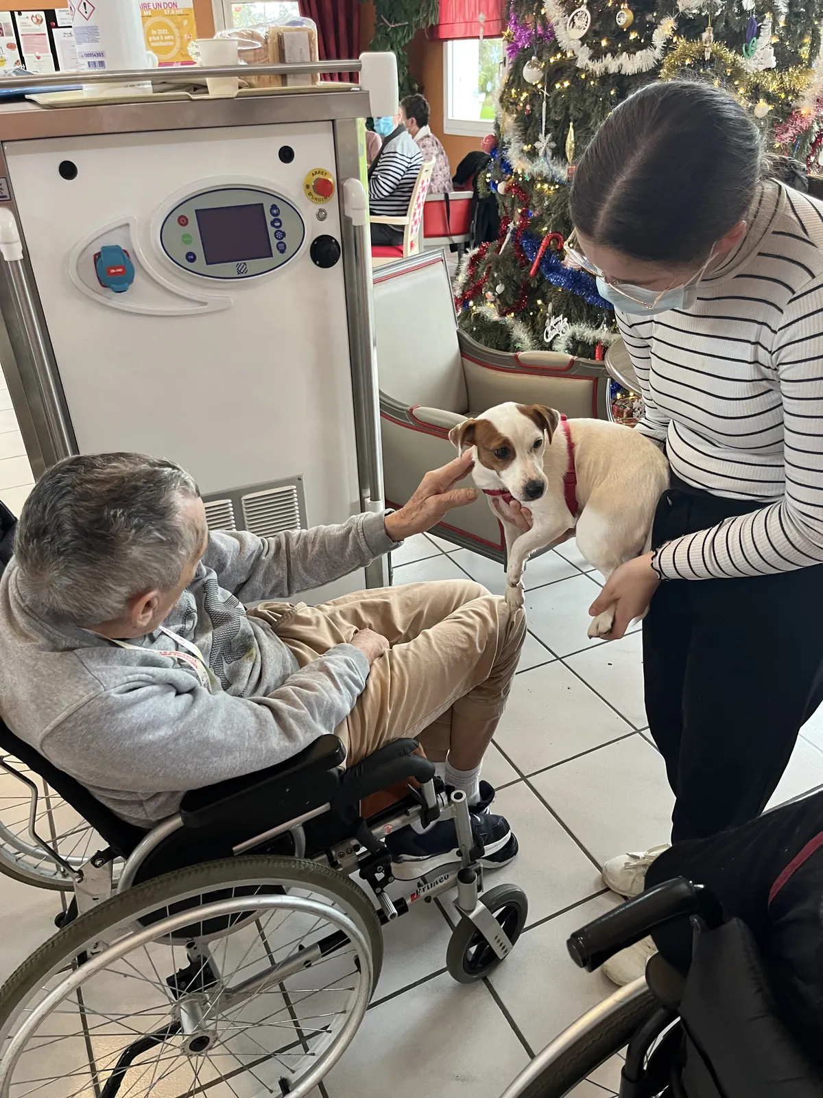 Bienvenue à Emma et Rebelle 