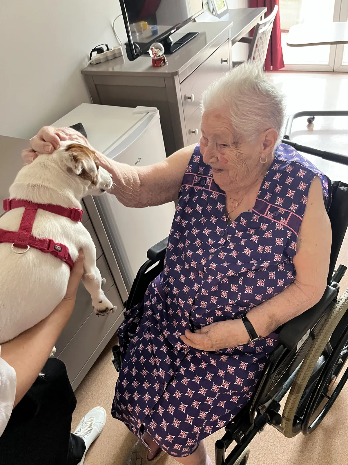 Bienvenue à Emma et Rebelle 