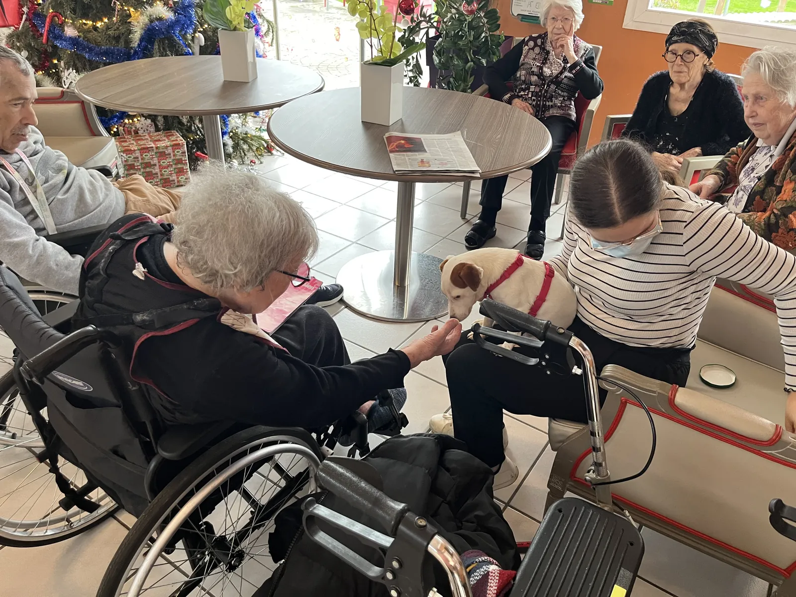 Bienvenue à Emma et Rebelle 