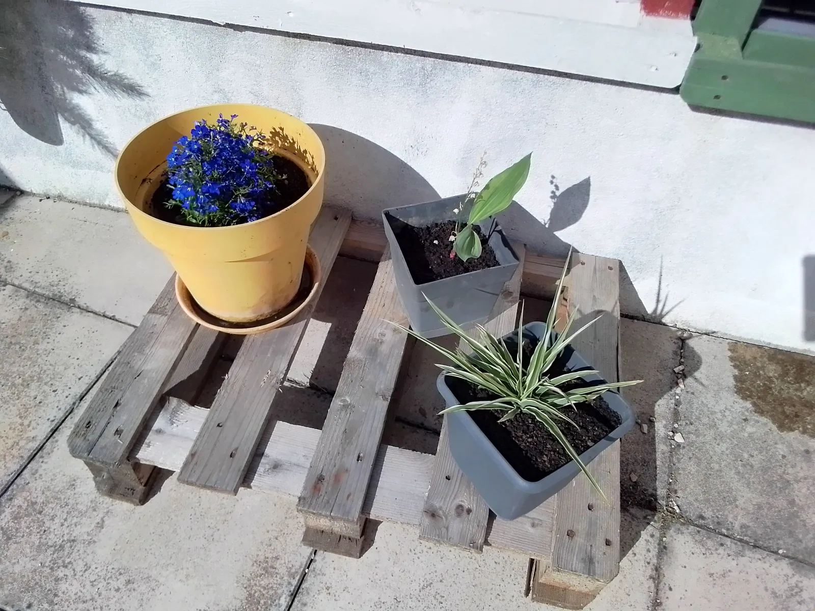 ATELIER PLANTATION 