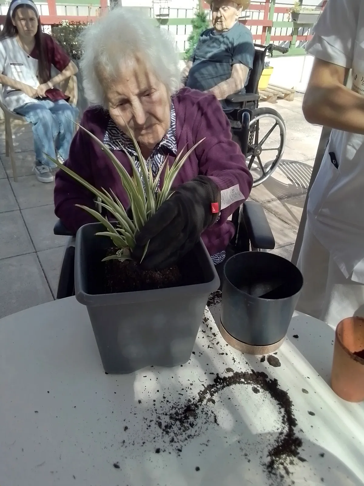 ATELIER PLANTATION 