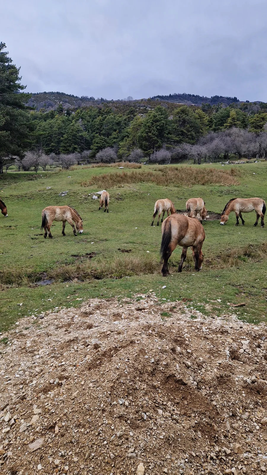La Réserve des Monts d'Azur