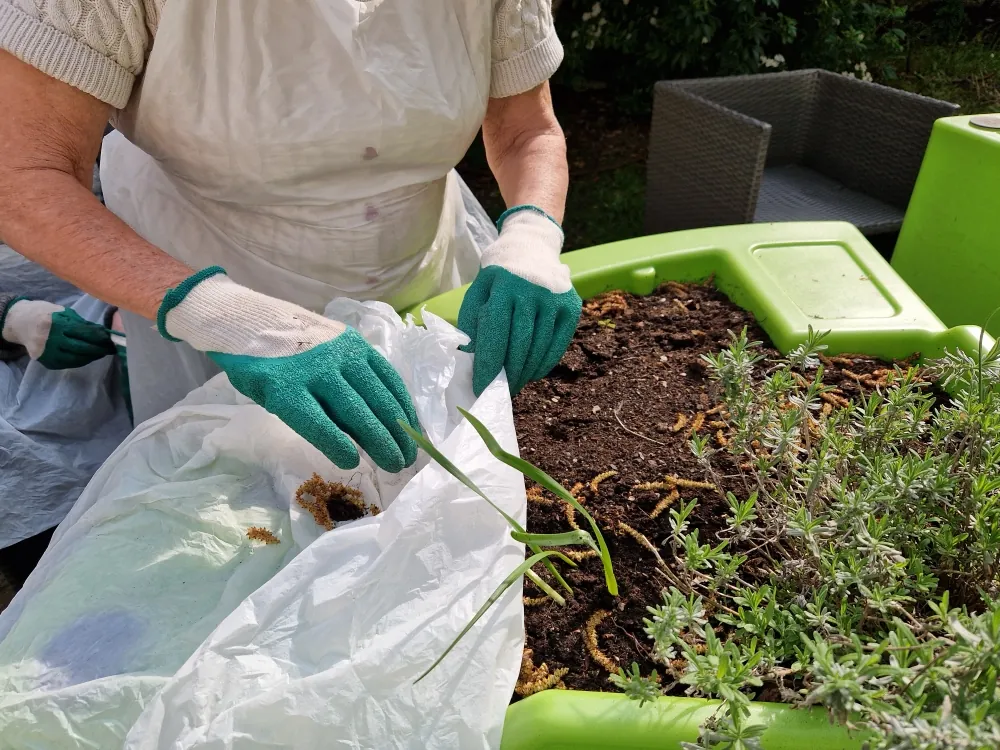 Jardinage à la Résidence Azur 