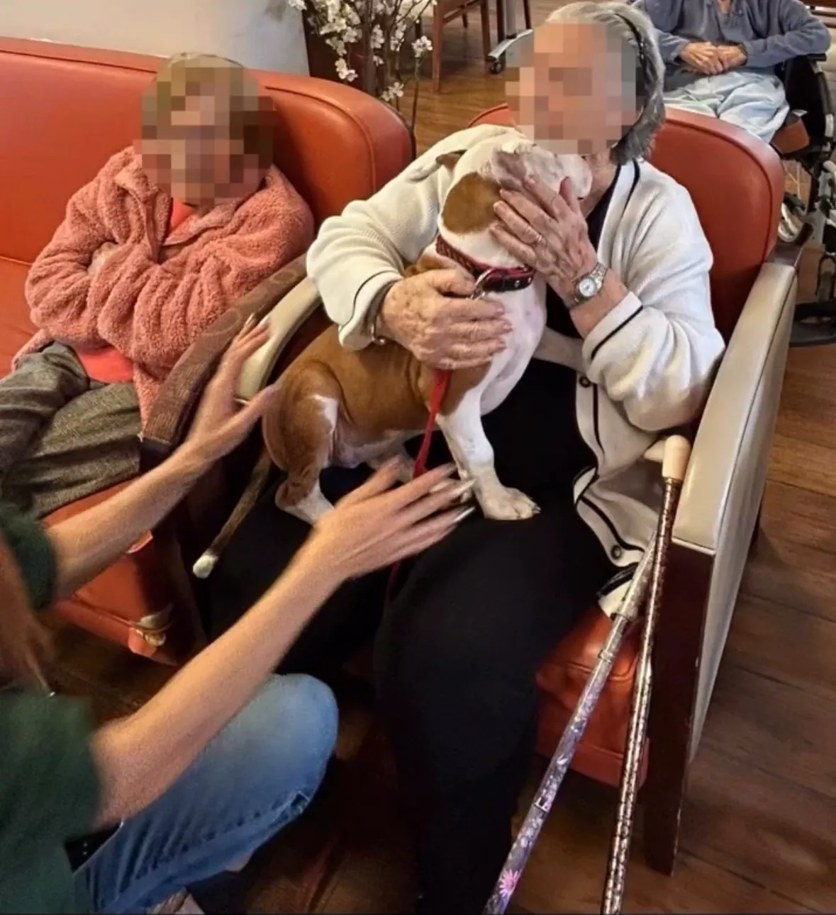 Une visite pleine de tendresse : Gaëlle nous présente son compagnon à quatre pattes