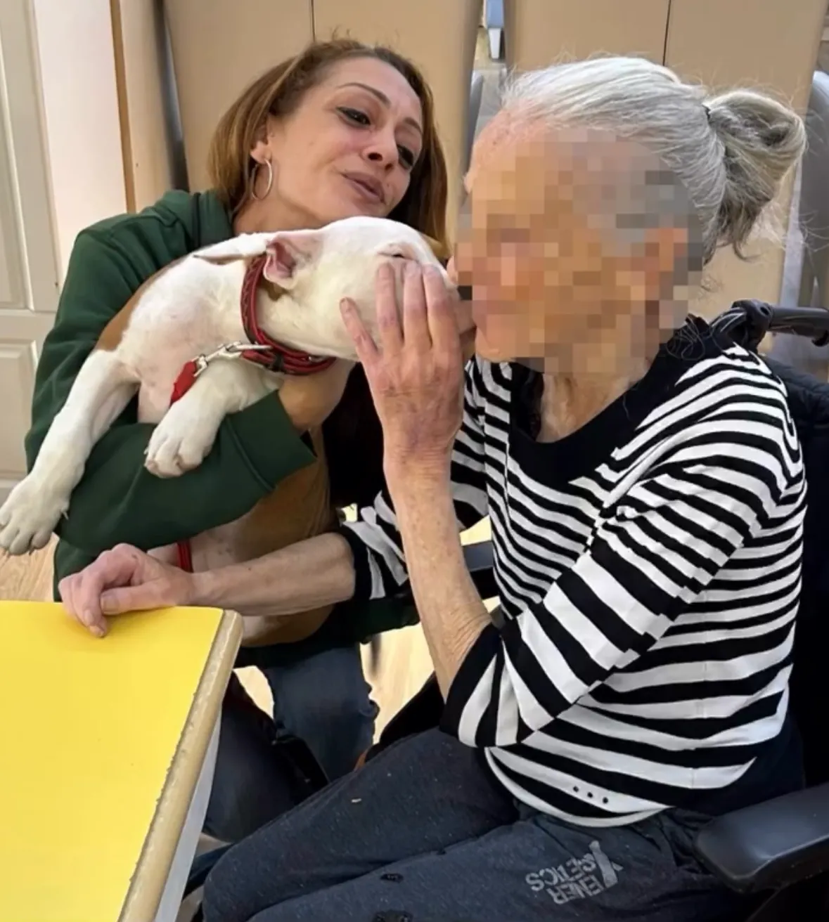 Une visite pleine de tendresse : Gaëlle nous présente son compagnon à quatre pattes
