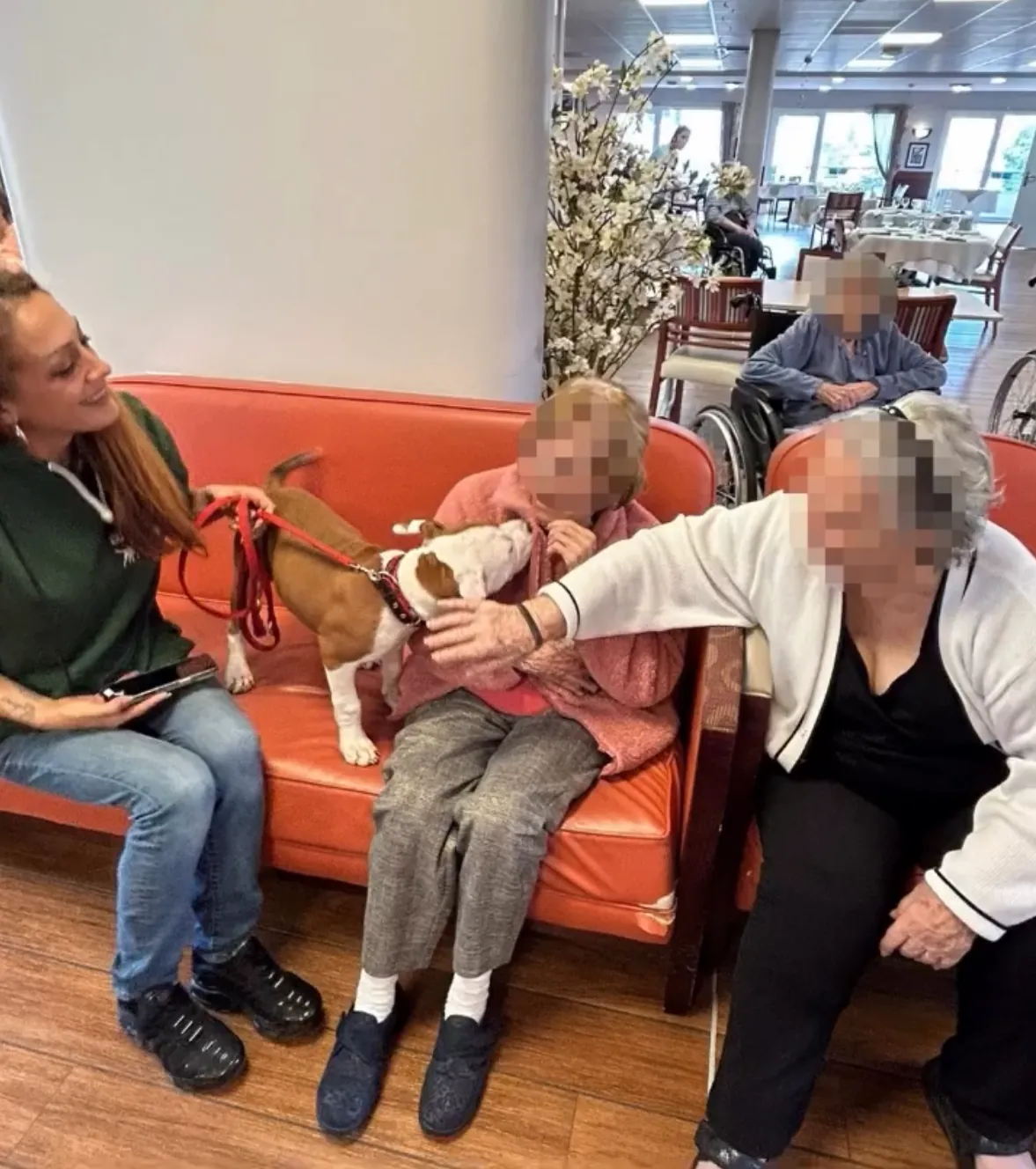 Une visite pleine de tendresse : Gaëlle nous présente son compagnon à quatre pattes