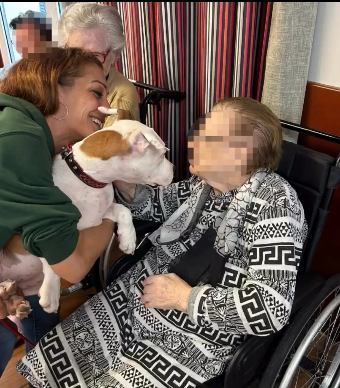 Une visite pleine de tendresse : Gaëlle nous présente son compagnon à quatre pattes
