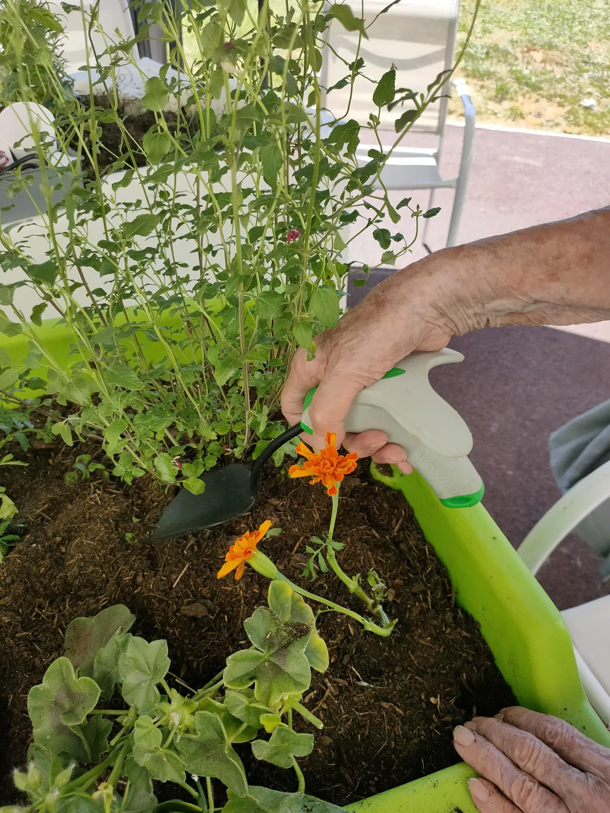 Les activités d’animation poursuivent des objectifs précis au seins de l'EHPAD les Jardins de Longuiolles à Vaujours 93