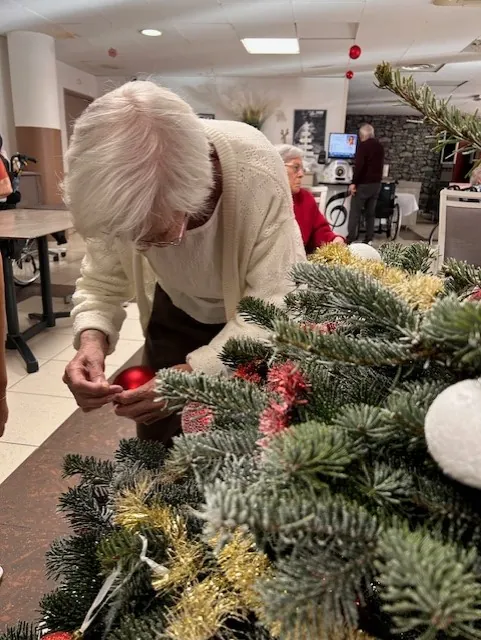 Décoration du Sapin de Noël ! 