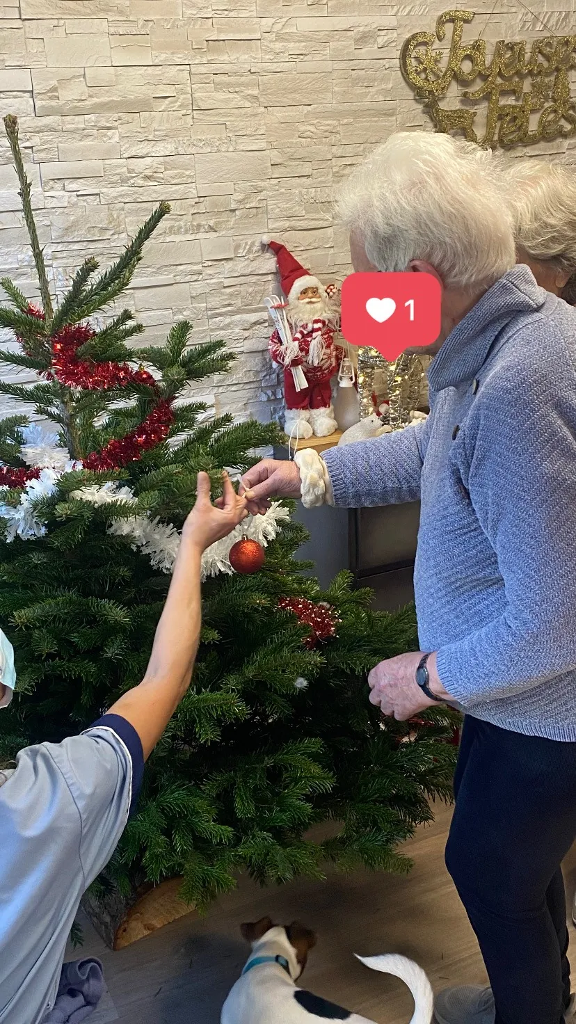 Décoration du Sapin de Noël ! 