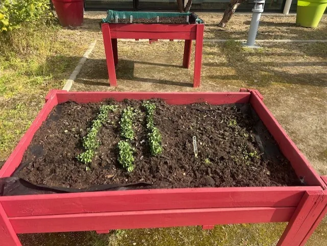 Le Jardin thérapeutique 