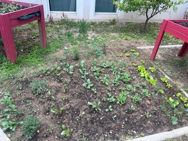 Le Jardin thérapeutique 