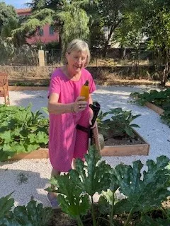 Cuisiner avec nos légumes du potager