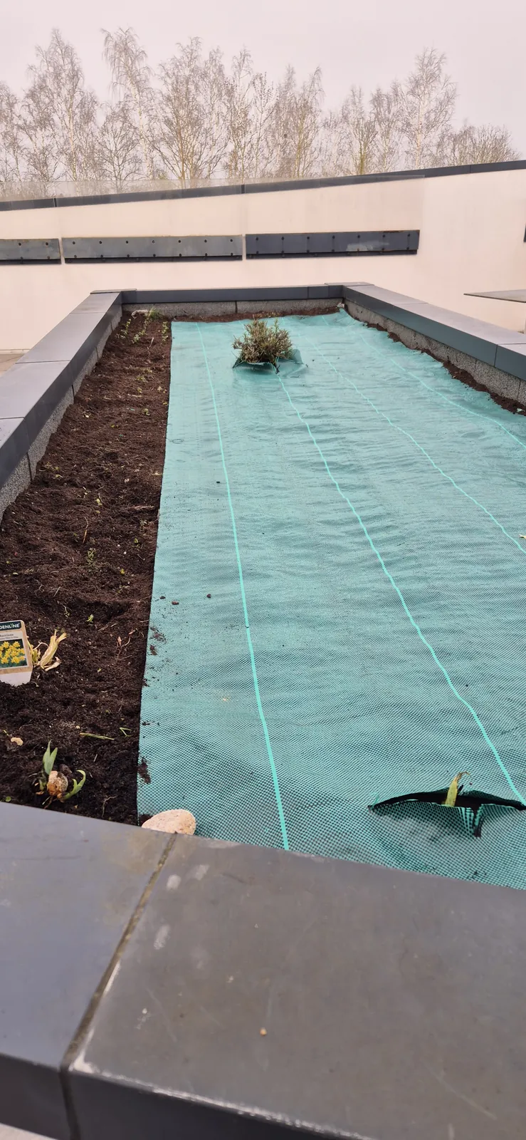 A l'assault du jardin !