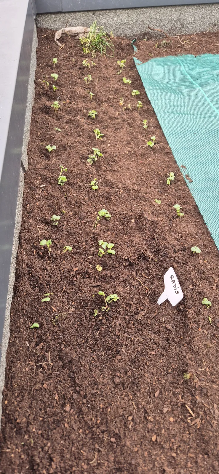 A l'assault du jardin !