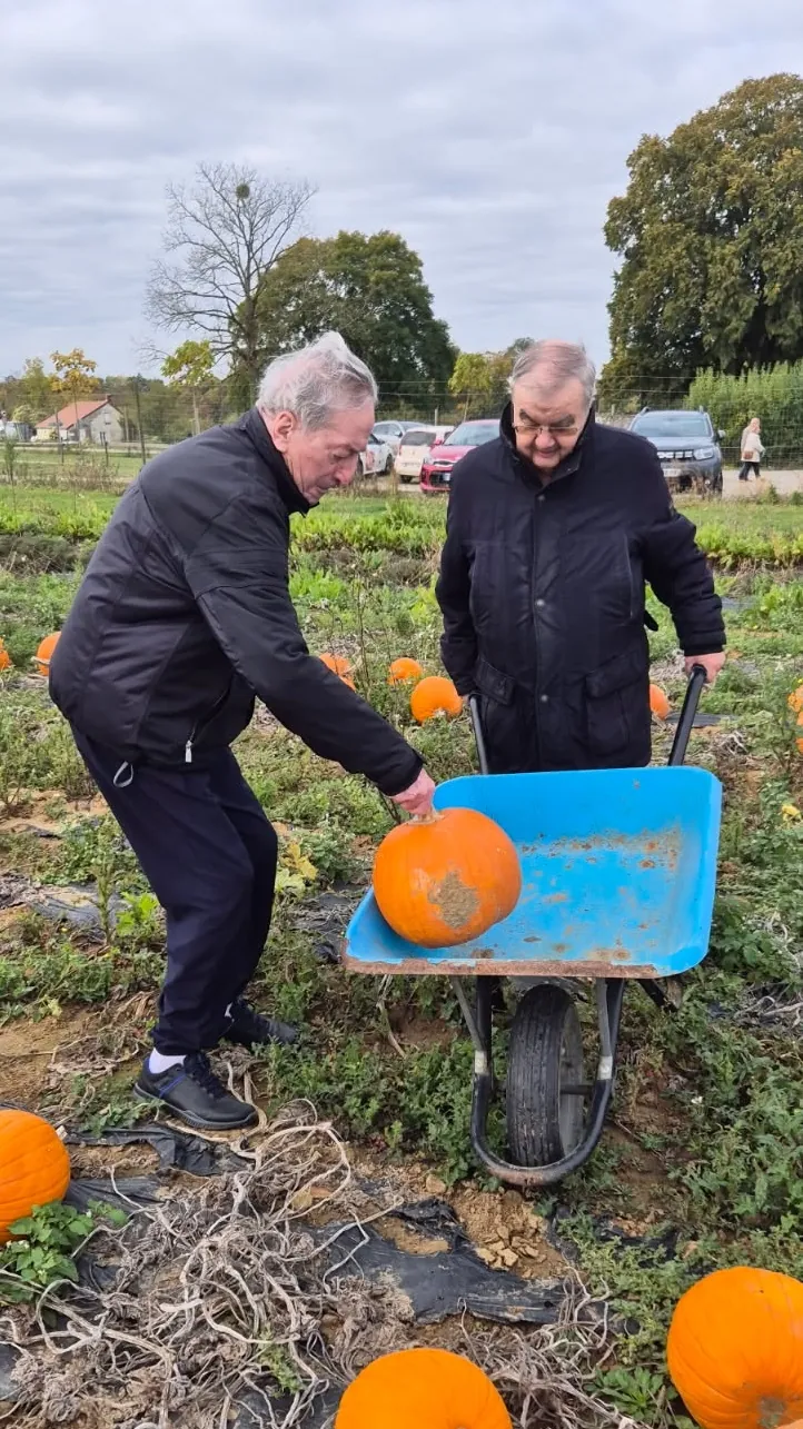De la cueillette à la dégustation