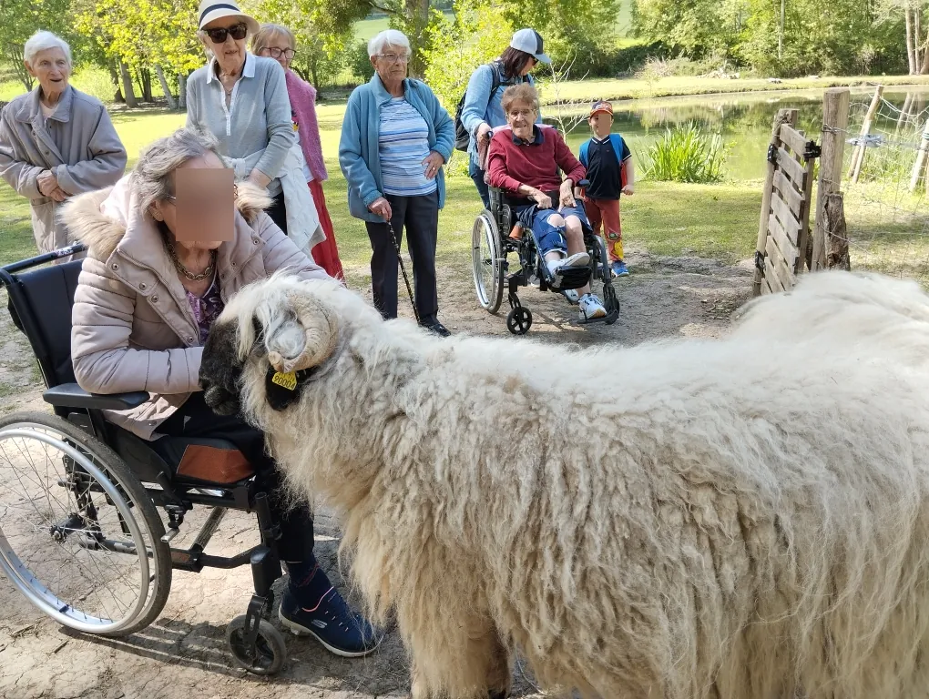 Visite d'une ferme pédagogique à Rosay