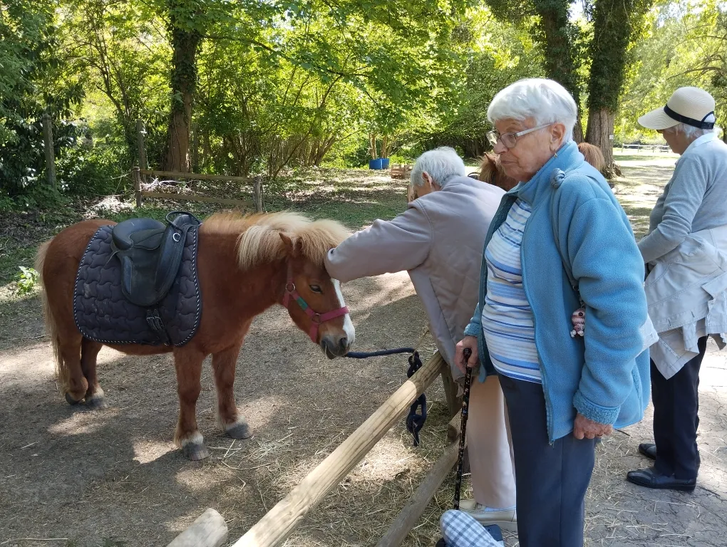 Visite d'une ferme pédagogique à Rosay