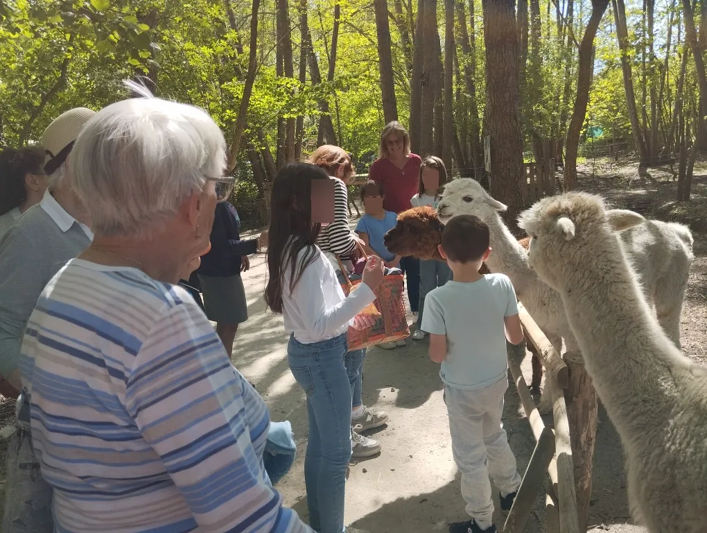 Visite d'une ferme pédagogique à Rosay