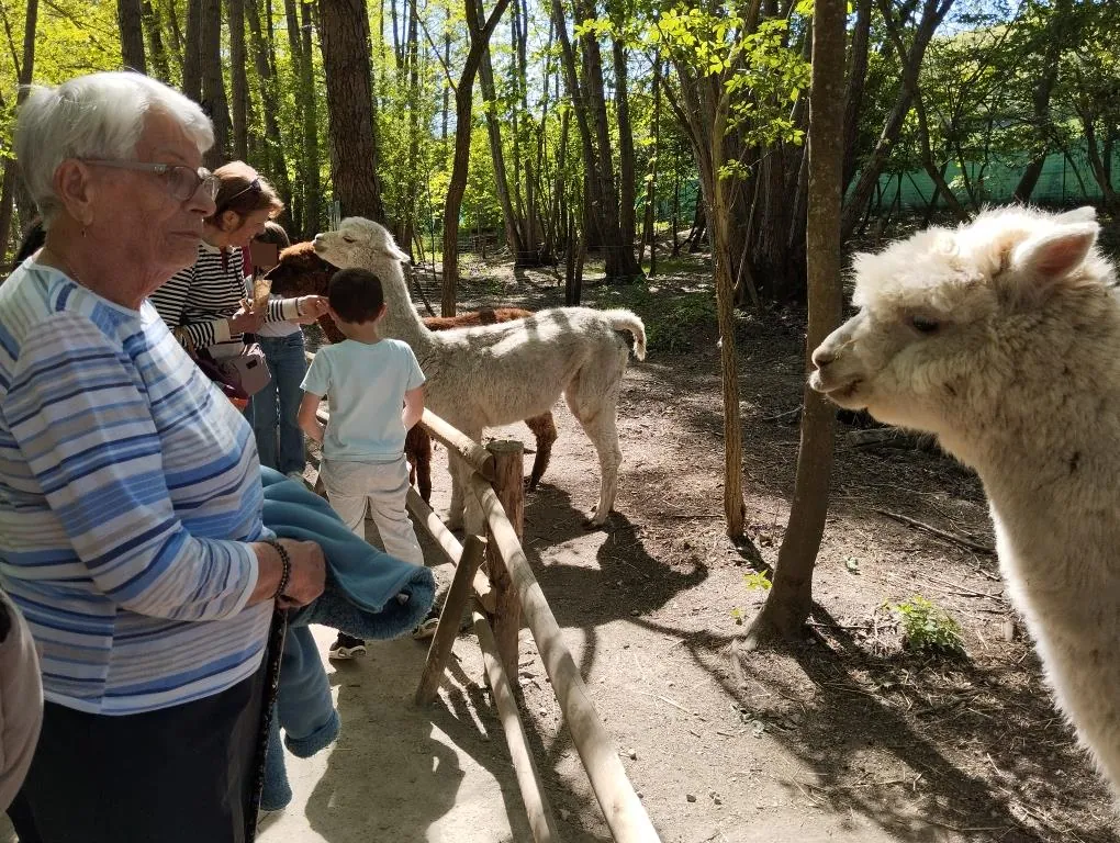 Visite d'une ferme pédagogique à Rosay