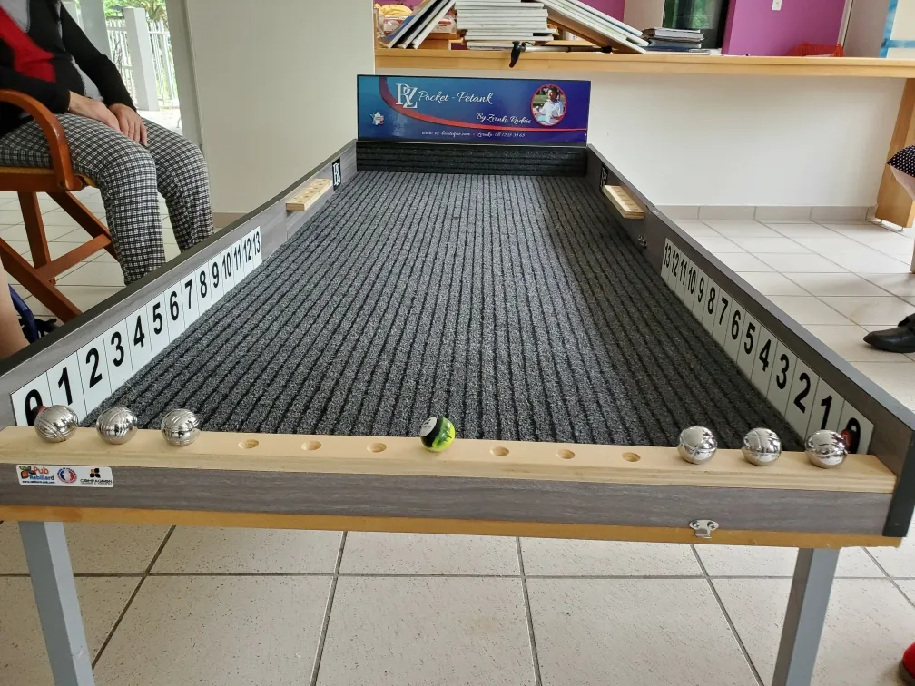 Tournoi inter-Ehpad de pocket pétanque : la passion du jeu à tout âge