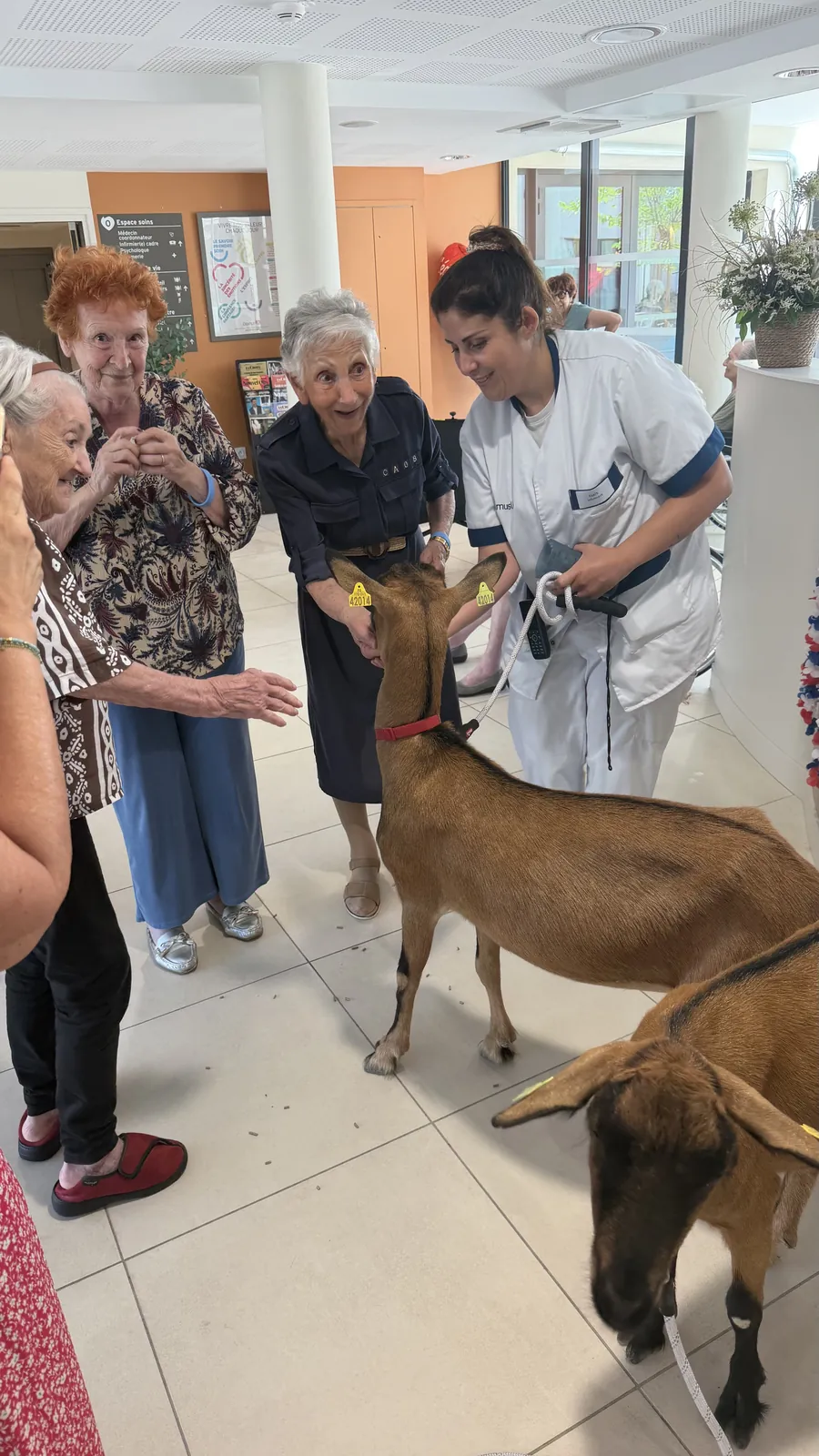 Visite de Molly et Noisette 