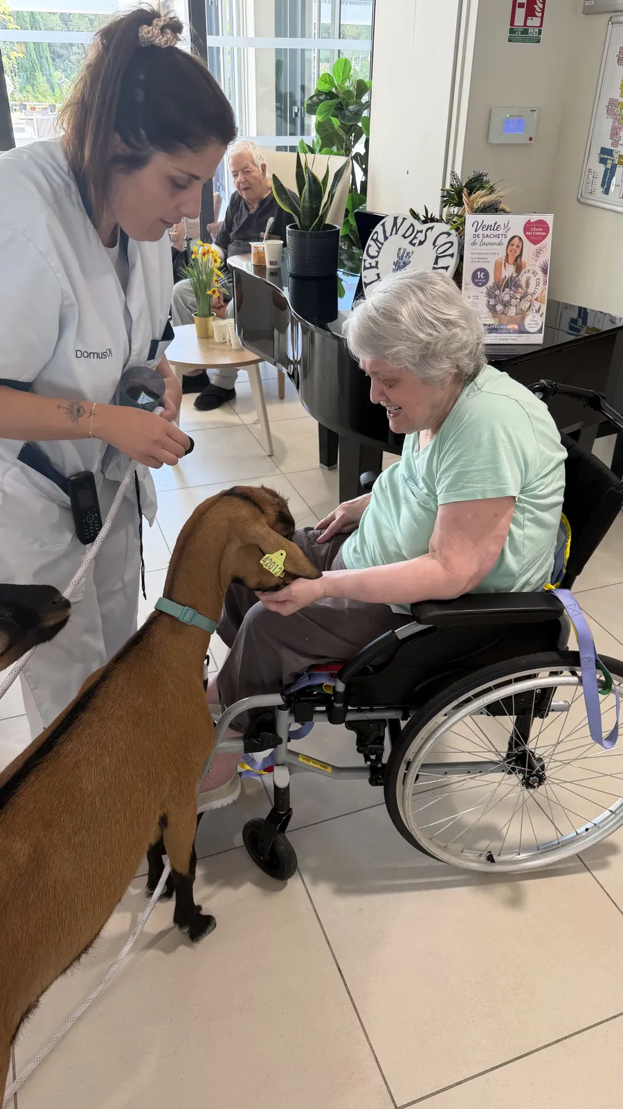 Visite de Molly et Noisette 