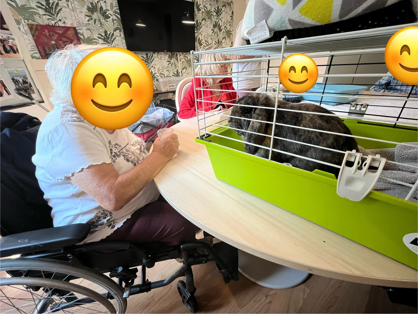 Rencontre avec Anaïs, zoothérapeute, Chantal ainsi que Freya !