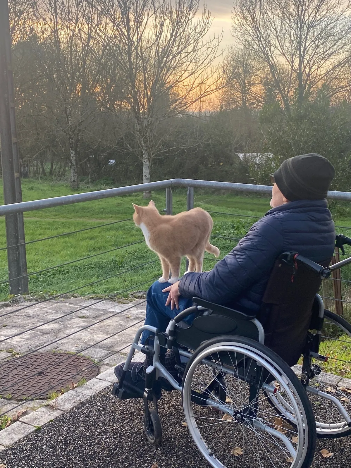 Sophie, notre chatte au grand cœur !