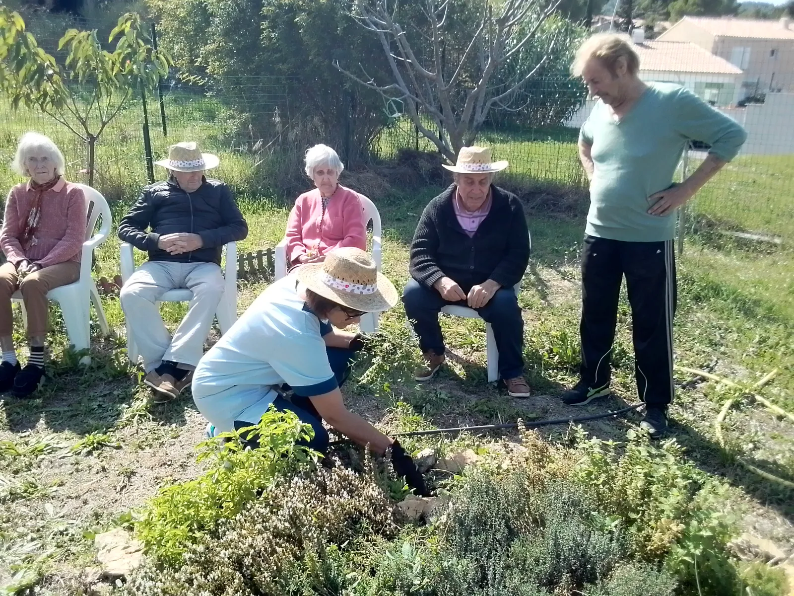 JARDIN : quel beau travail !