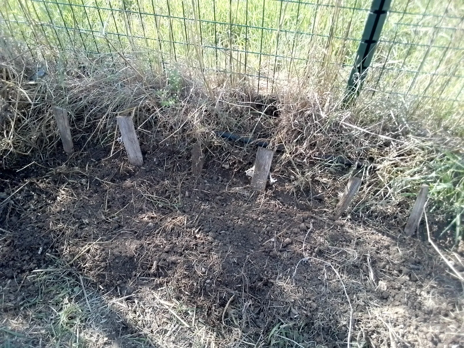 JARDIN : quel beau travail !