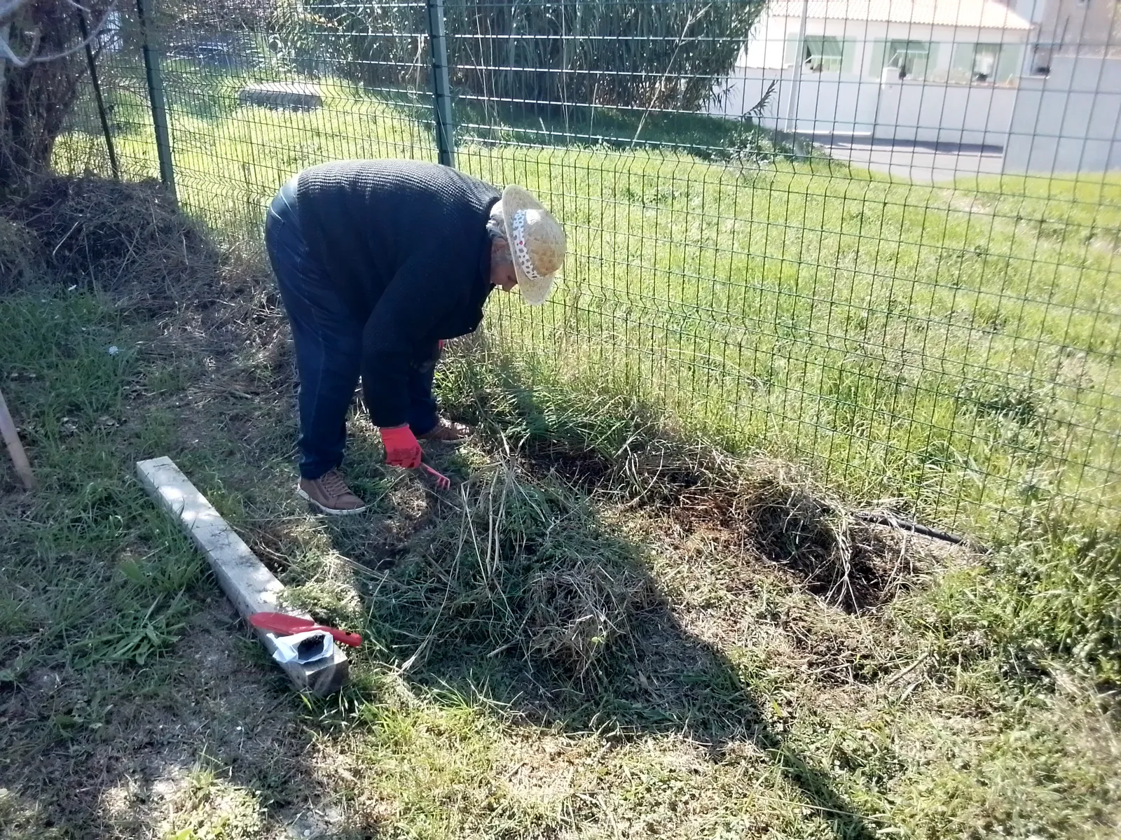 JARDIN : quel beau travail !