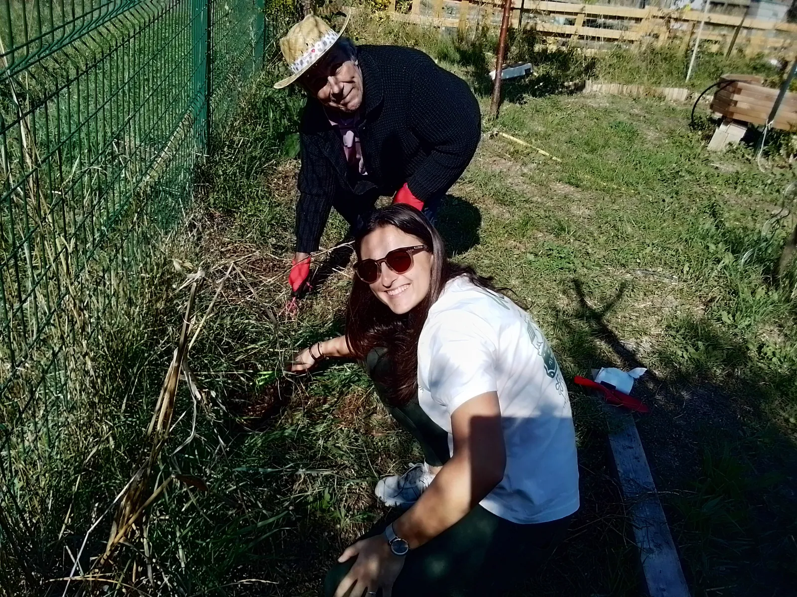 JARDIN : quel beau travail !