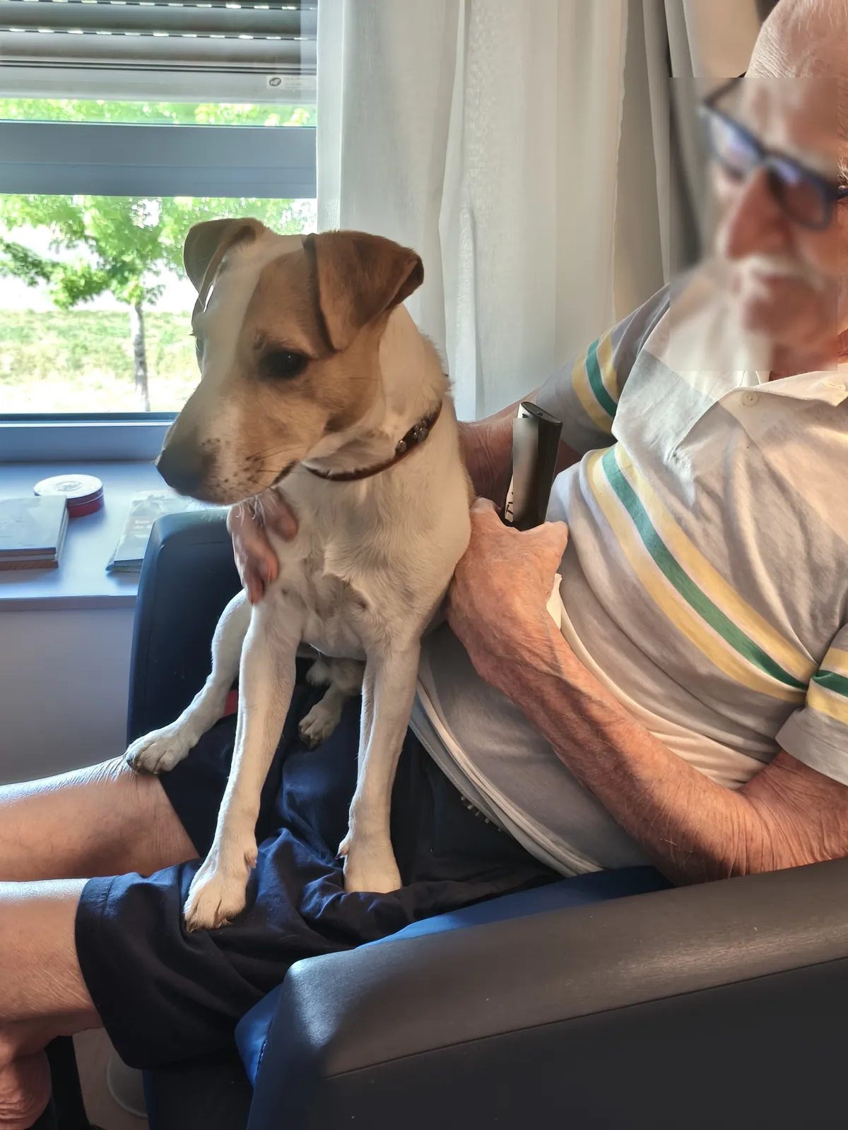  La médiation animale: une bulle de fraîcheur pour le cœur pendant la canicule.