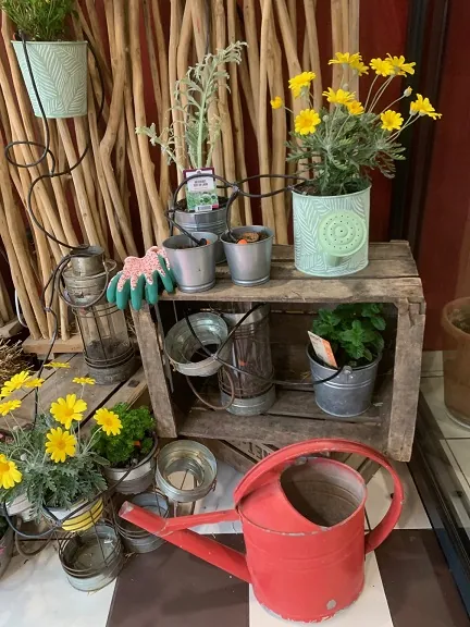 Le printemps s'invite à la résidence (partie2)