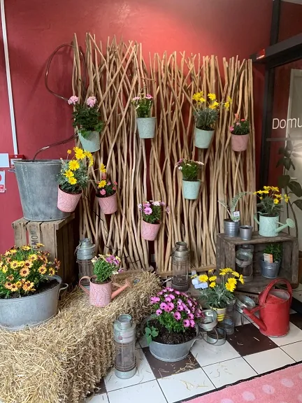 Le printemps s'invite à la résidence (partie2)