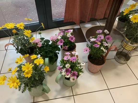 Le printemps s'invite à la résidence (partie2)