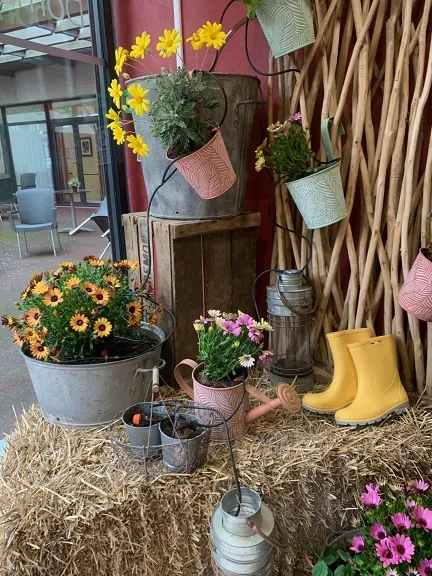Le printemps s'invite à la résidence (partie2)