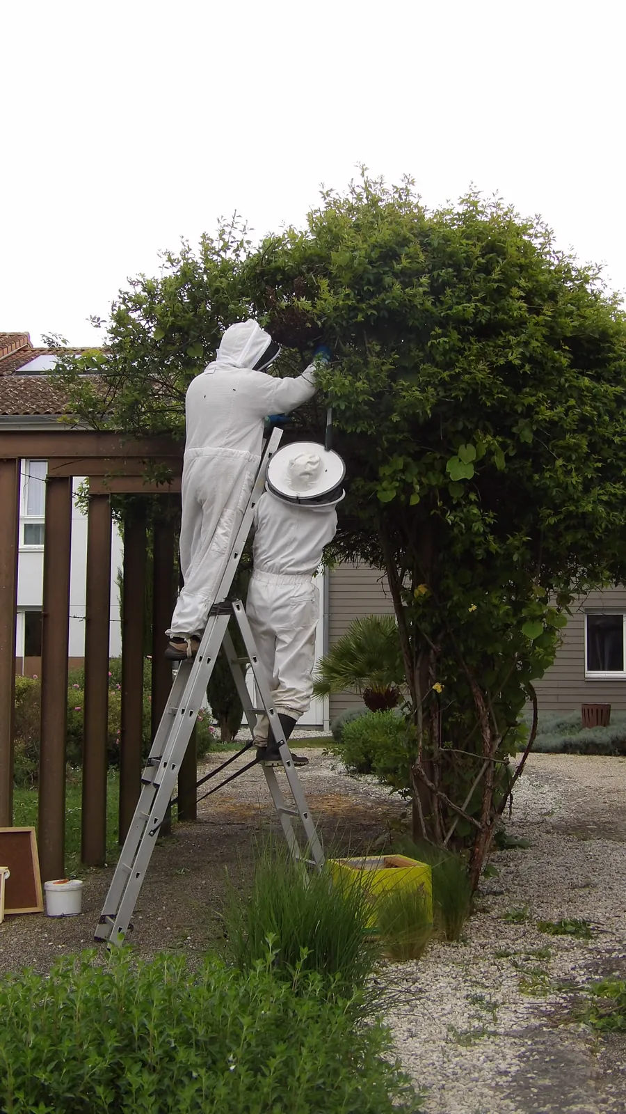 Les Jardins du Marais : Des Abeilles Sont Venue S’Installer ! 