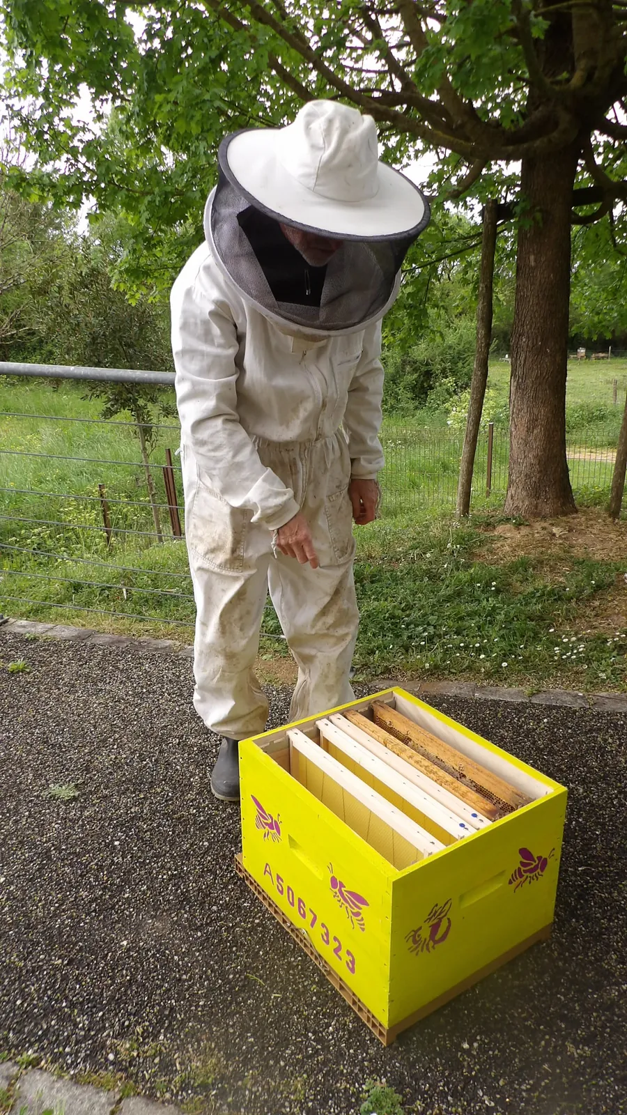 Les Jardins du Marais : Des Abeilles Sont Venue S’Installer ! 
