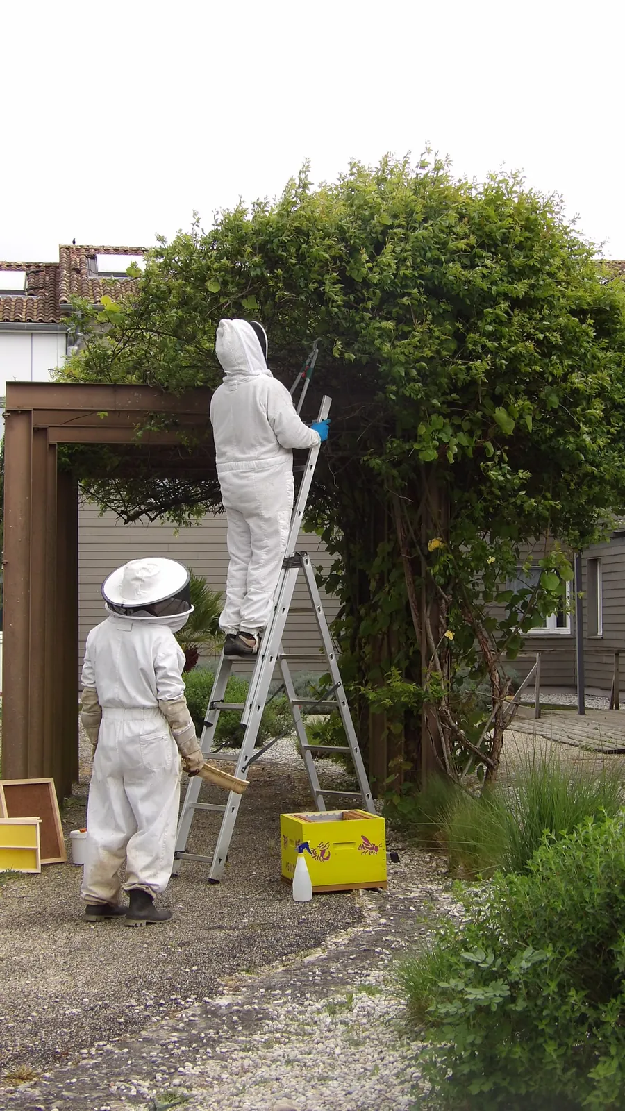 Les Jardins du Marais : Des Abeilles Sont Venue S’Installer ! 