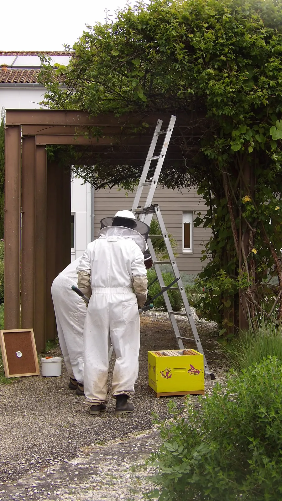 Les Jardins du Marais : Des Abeilles Sont Venue S’Installer ! 