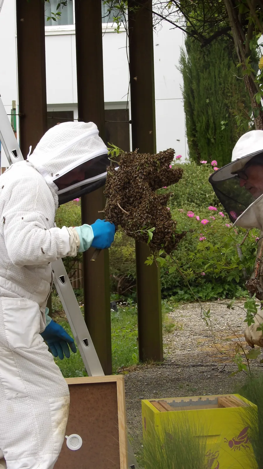 Les Jardins du Marais : Des Abeilles Sont Venue S’Installer ! 