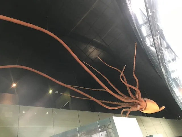 Une journée au Muséum : une escapade glacée et pleine de découvertes